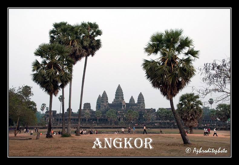 Angkor 2012
